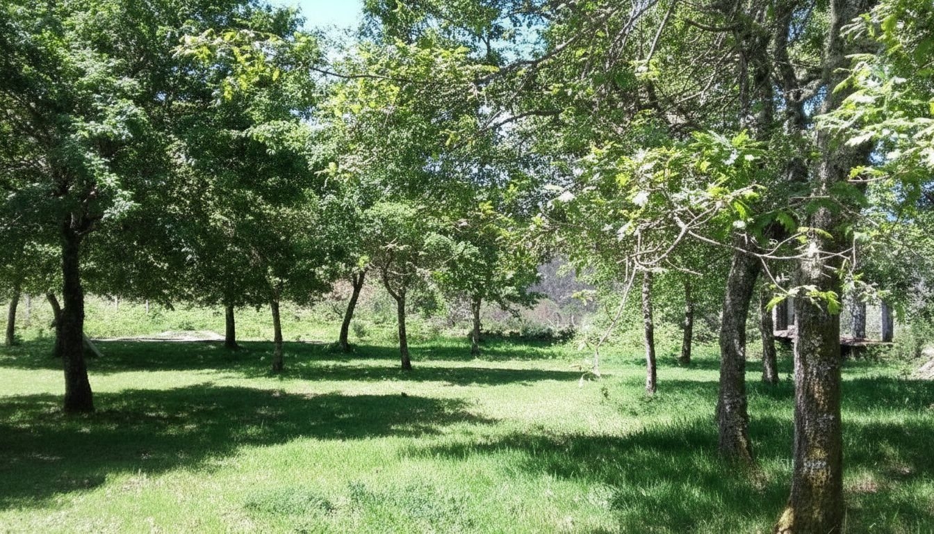 Cerdedo: A5820: Upptäck landskapet och dess charm!! ...