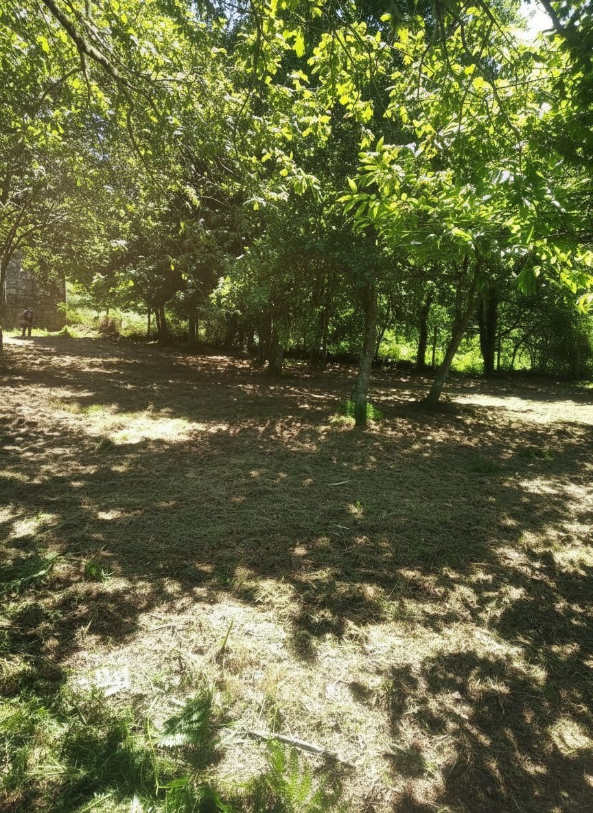 Cerdedo: A5820: Upptäck landskapet och dess charm!! ...