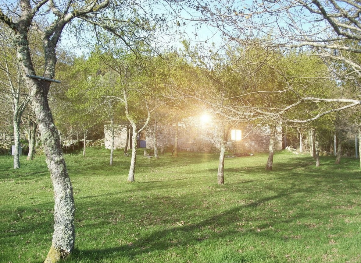 Cerdedo: A5820: Upptäck landskapet och dess charm!! ...