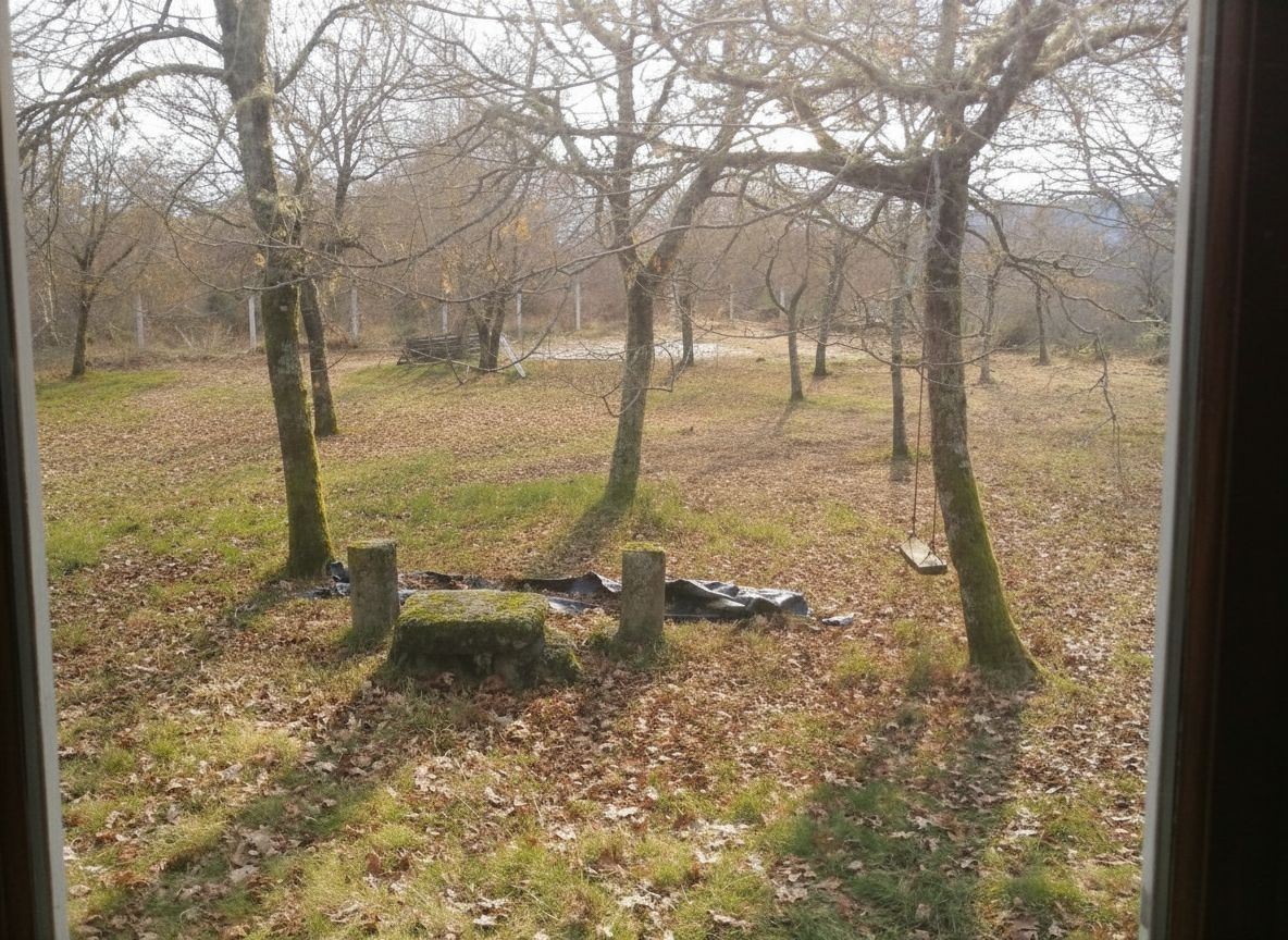 Cerdedo: A5820: Upptäck landskapet och dess charm!! ...