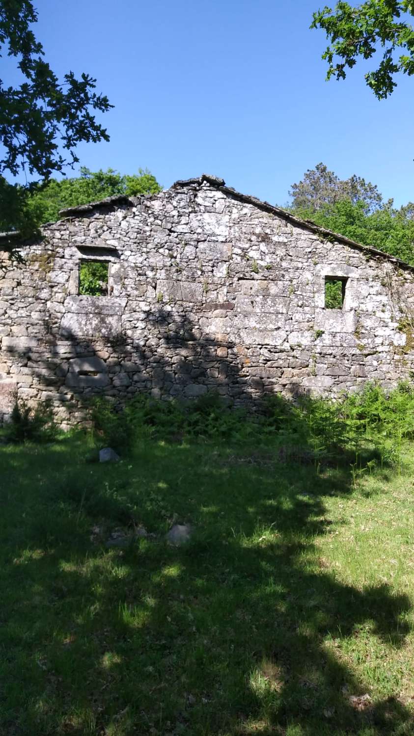 Pig: A5820: We sell stone house with farm ... ideal Rural rental !! ...