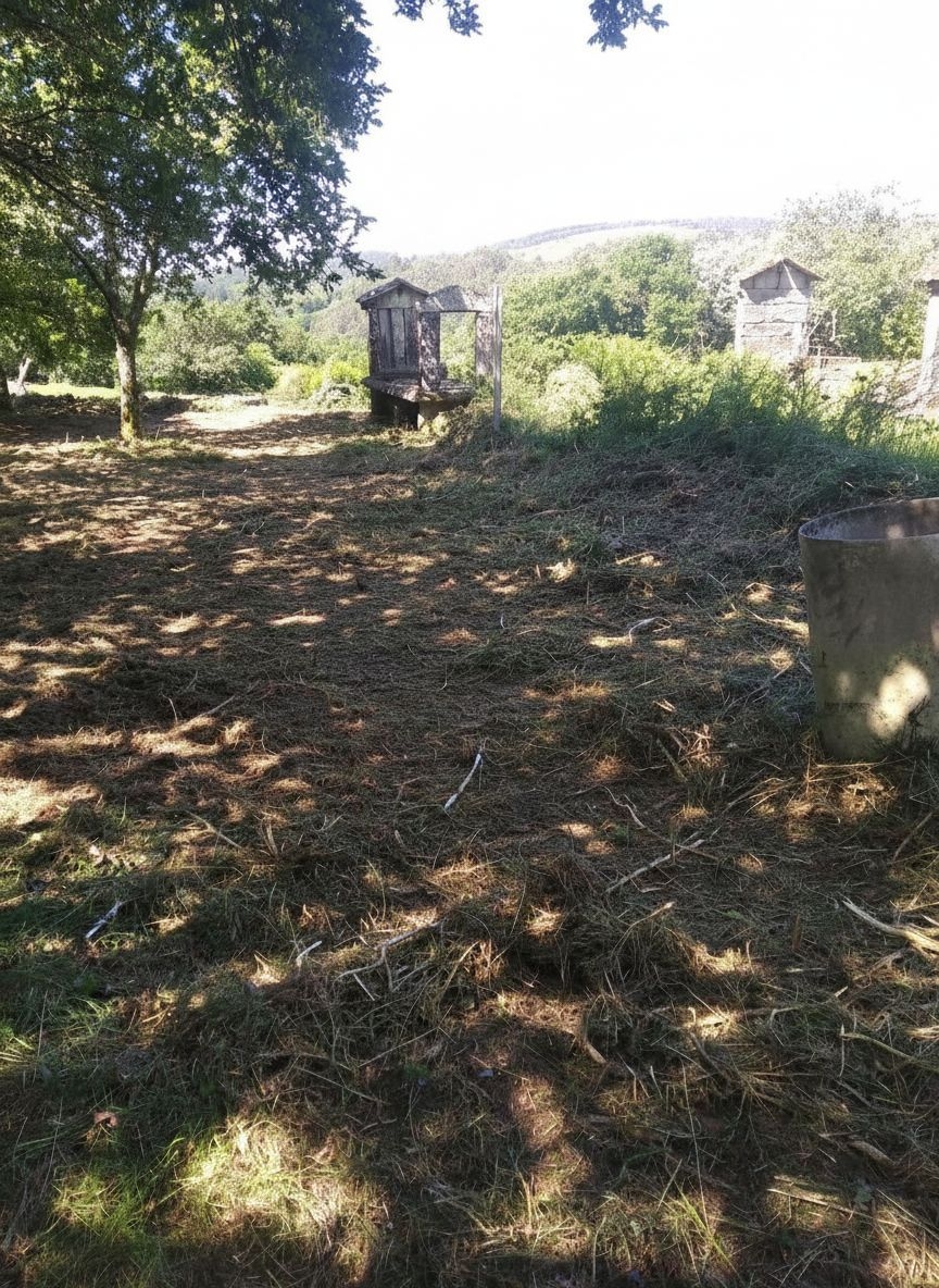 Cerdedo: A5820: Upptäck landskapet och dess charm!! ...