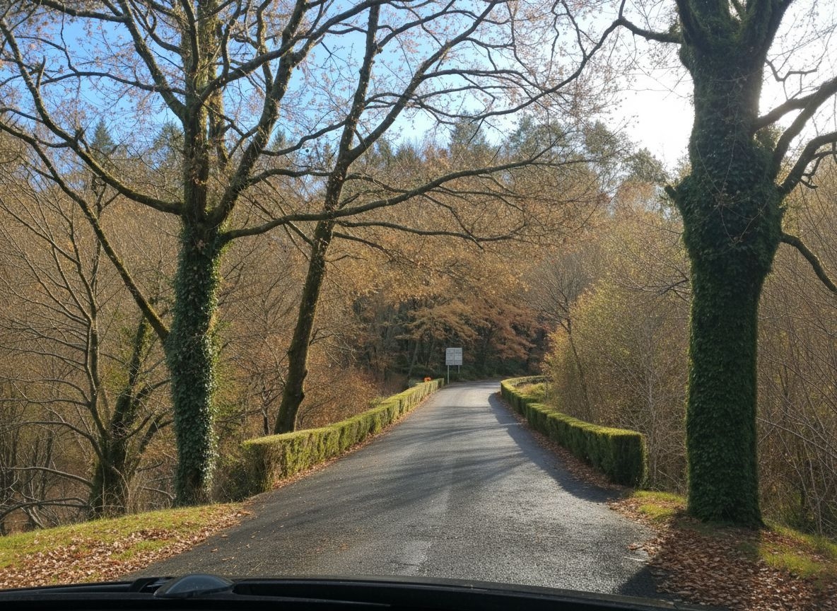 Cerdedo: A7285: Casa di villaggio in pietra con una piccola tenuta...