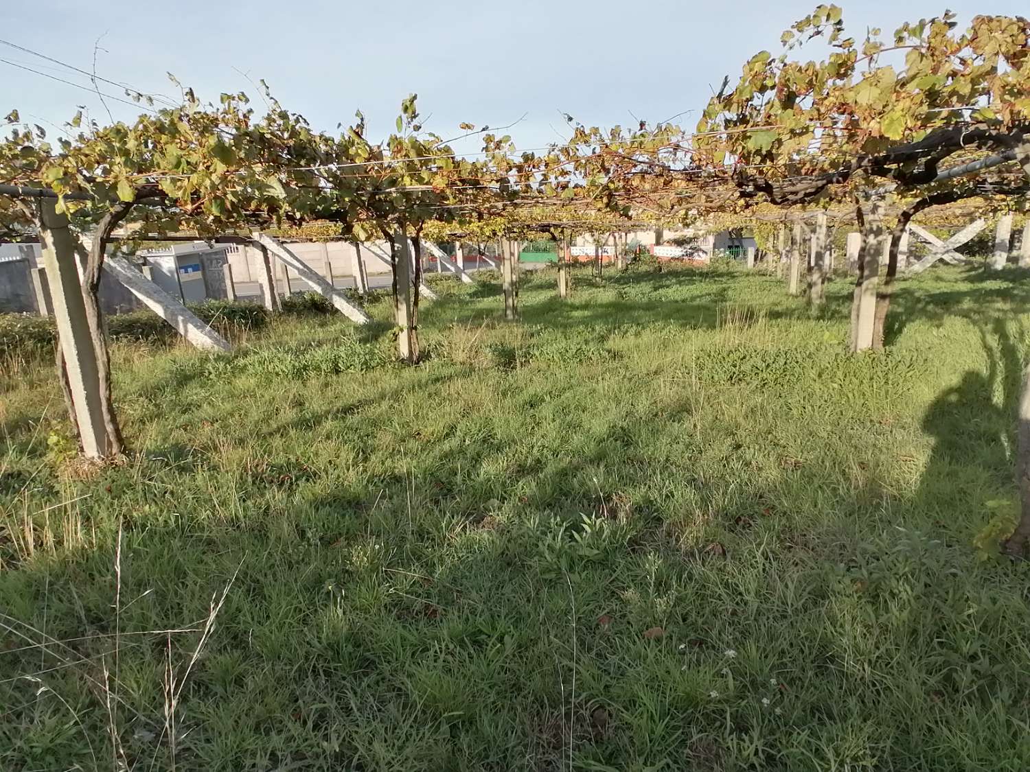 Finca en venta en Aios, suelo urbanizable...