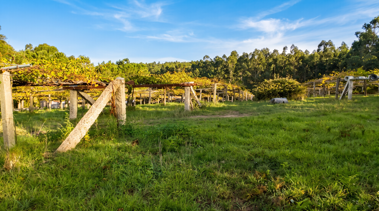 Finca en venta en Aios, suelo urbanizable...