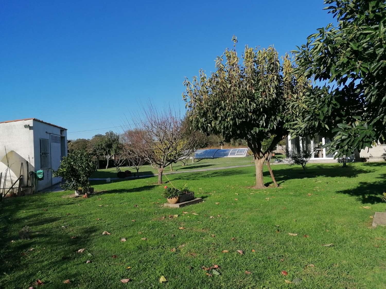 Villa with swimming pool, surrounded by gardens, fruit trees, for sale in Ribadumia...