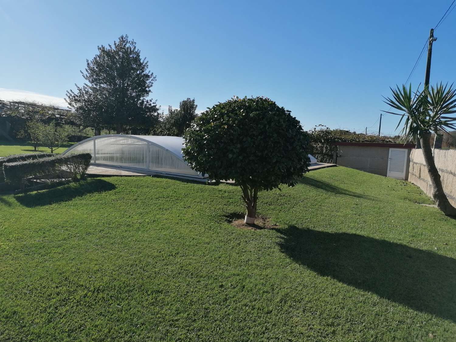 Villa with swimming pool, surrounded by gardens, fruit trees, for sale in Ribadumia...