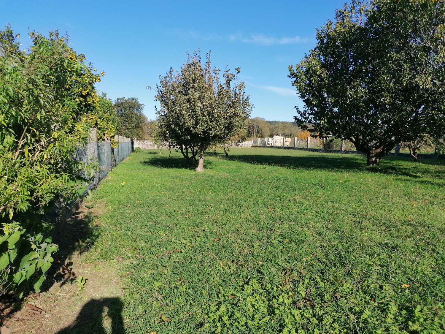 Villa with swimming pool, surrounded by gardens, fruit trees, for sale in Ribadumia...