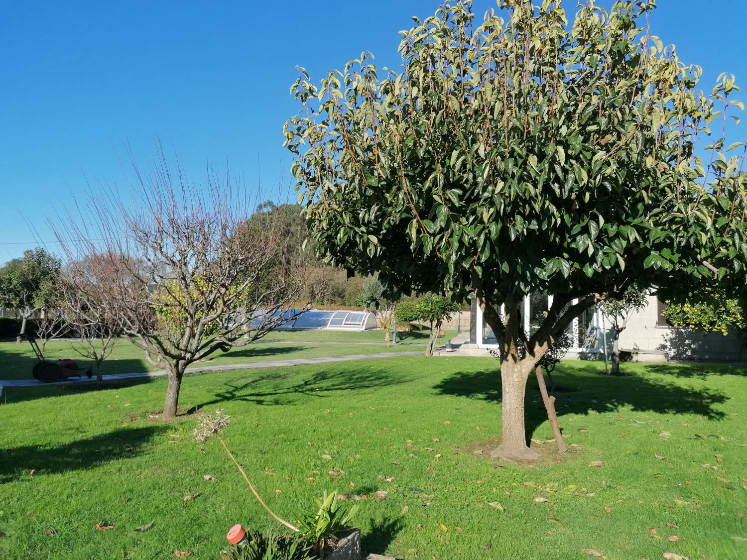 Villa with swimming pool, surrounded by gardens, fruit trees, for sale in Ribadumia...