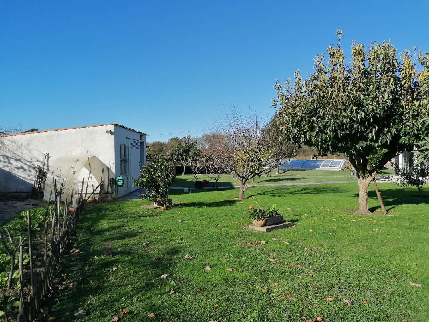 Villa with swimming pool, surrounded by gardens, fruit trees, for sale in Ribadumia...
