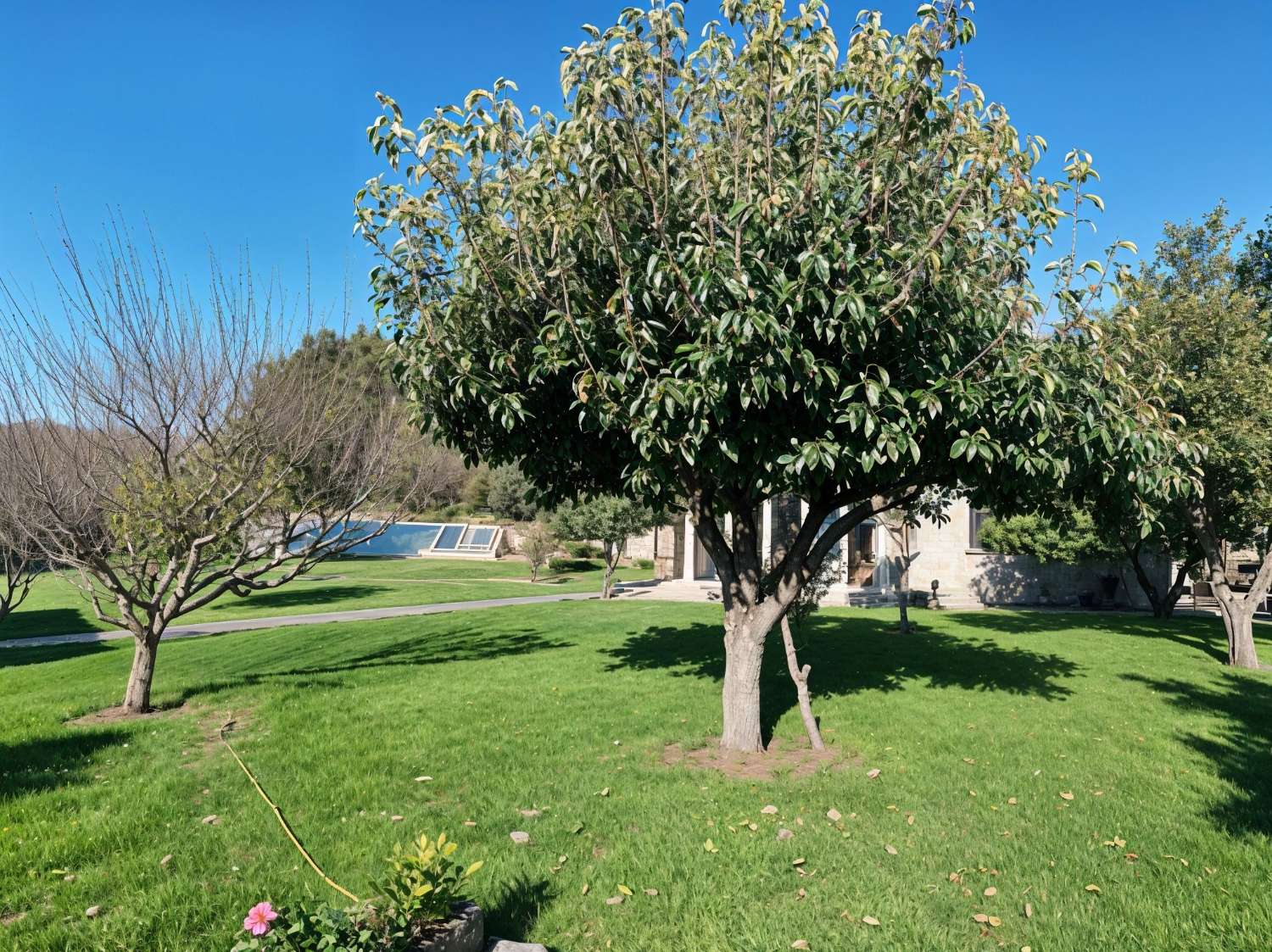 Villa with swimming pool, surrounded by gardens, fruit trees, for sale in Ribadumia...