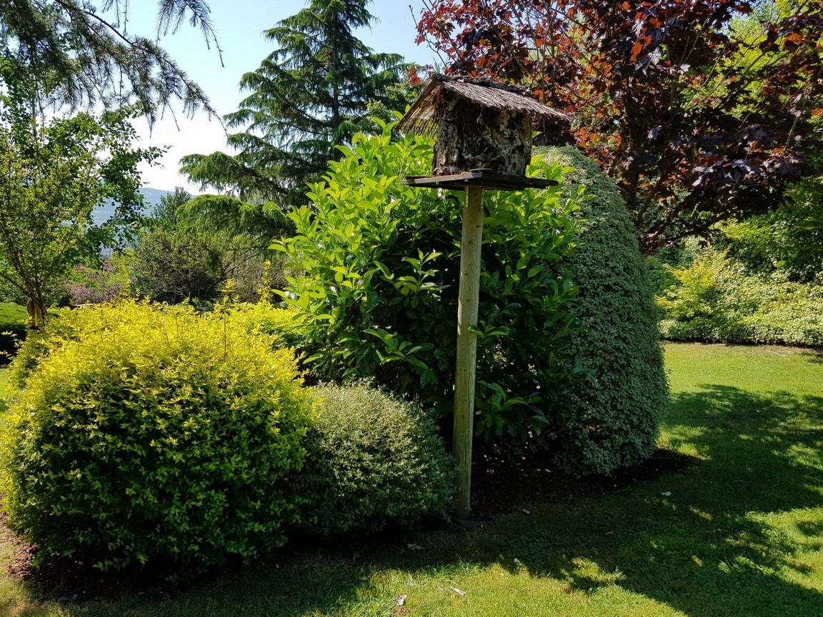 Vilanova de Arousa: Detached villa with outdoor pool surrounded by gardens...