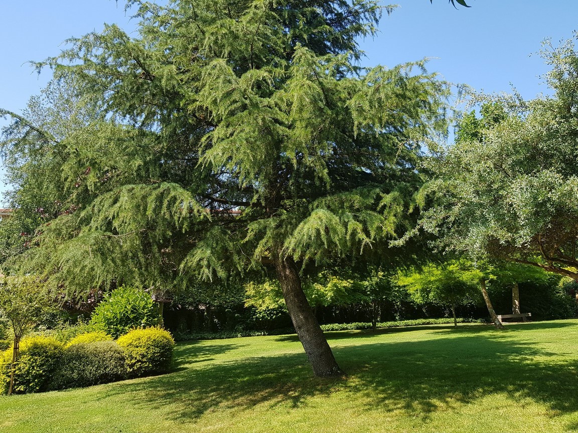 Vilanova de Arousa: Freistehende Villa mit Außenpool, umgeben von Gärten...