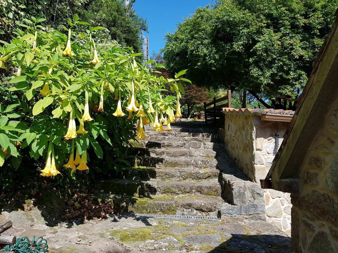 Vilanova de Arousa: Fristående villa med utomhuspool omgiven av trädgårdar...