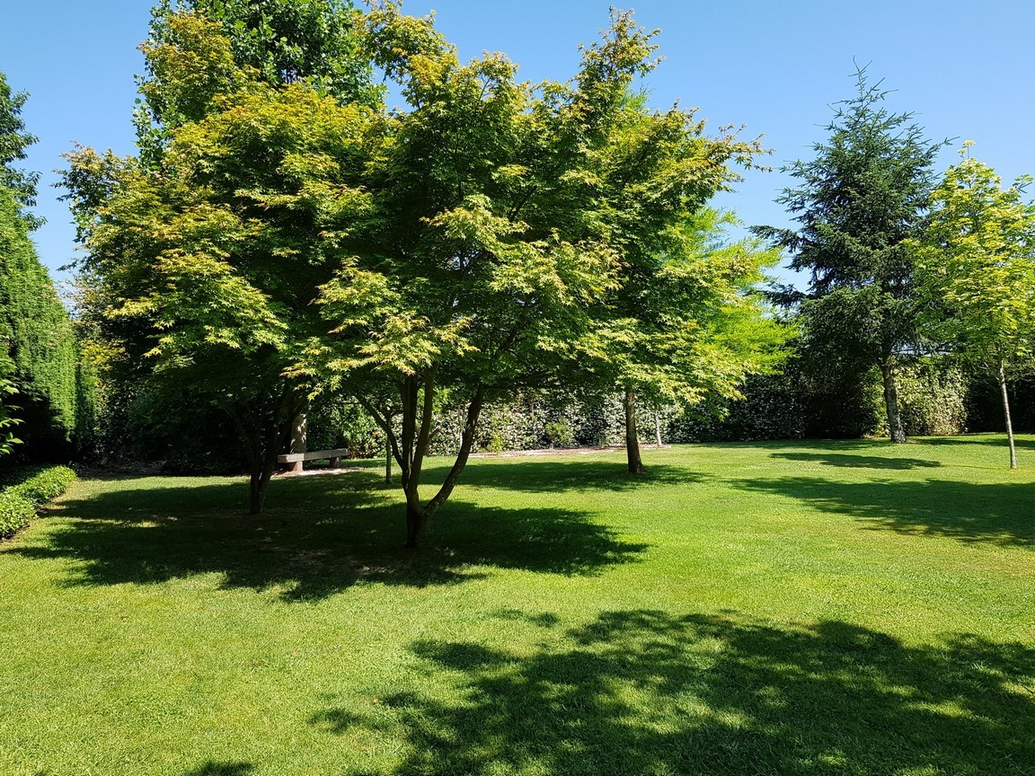 Vilanova de Arousa: Fritliggende villa med udendørs pool omgivet af haver...