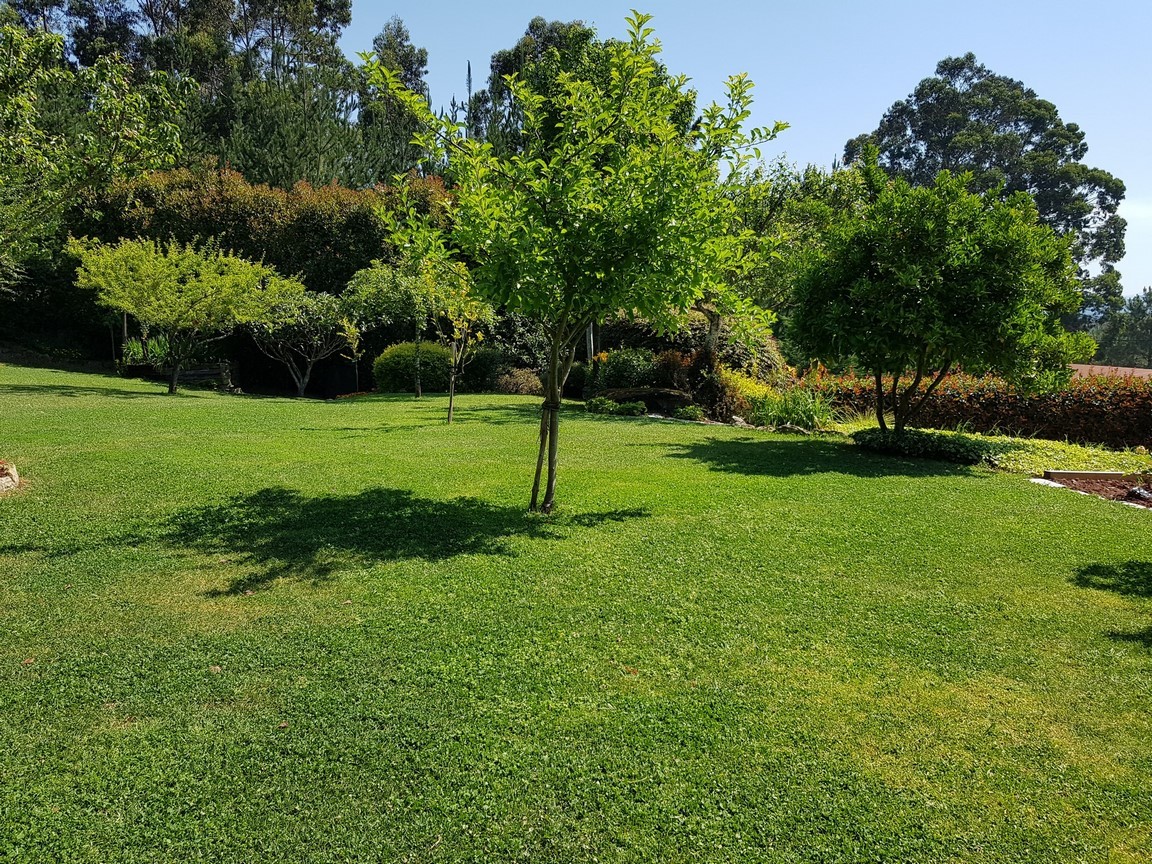 Vilanova de Arousa: Fritliggende villa med udendørs pool omgivet af haver...