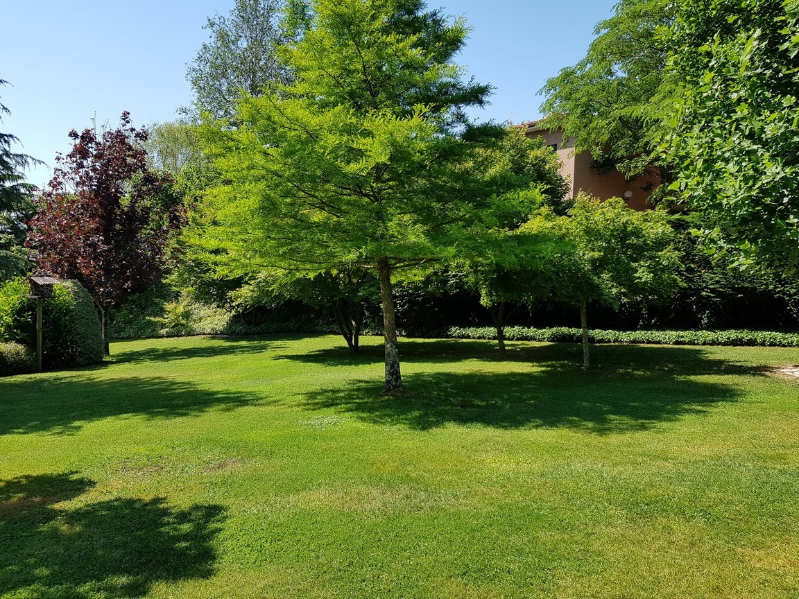 Vilanova de Arousa: Detached villa with outdoor pool surrounded by gardens...