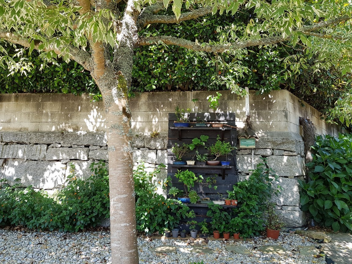 Vilanova de Arousa: Detached villa with outdoor pool surrounded by gardens...