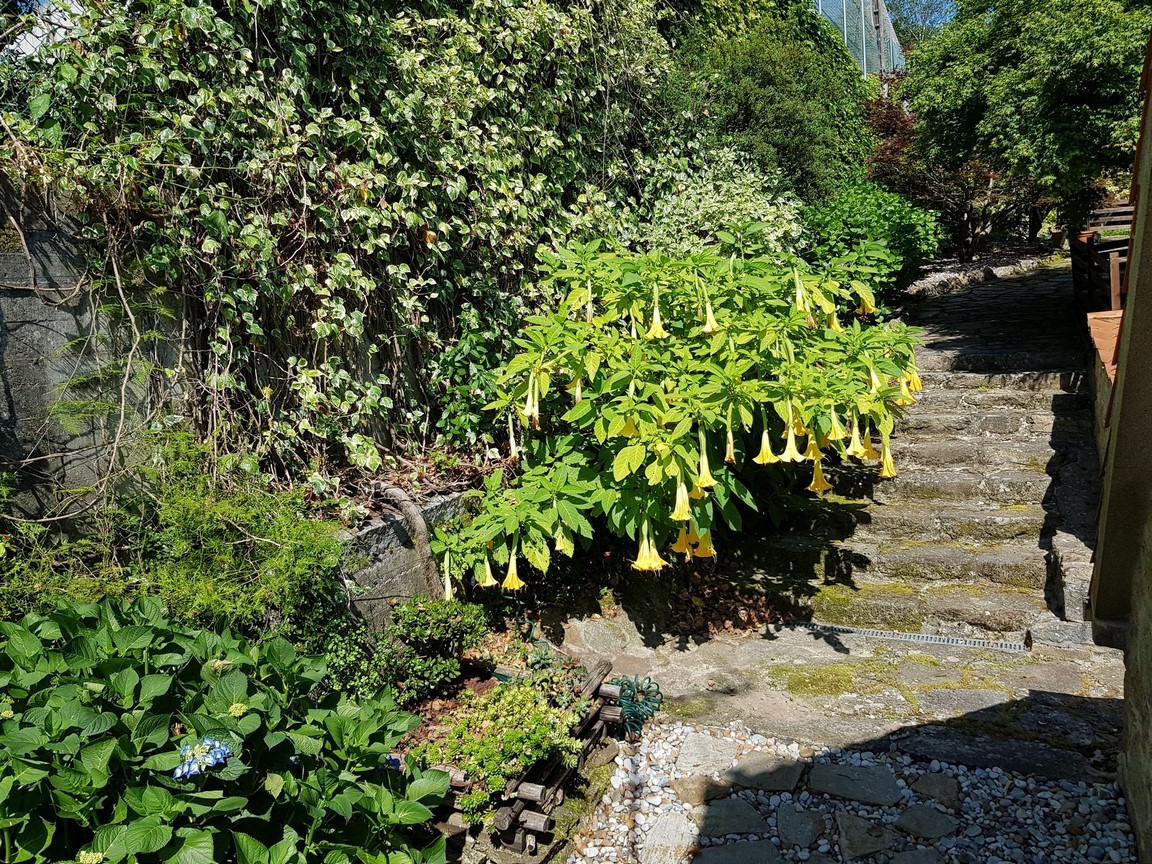 Vilanova de Arousa: Villa individuelle avec piscine extérieure entourée de jardins...