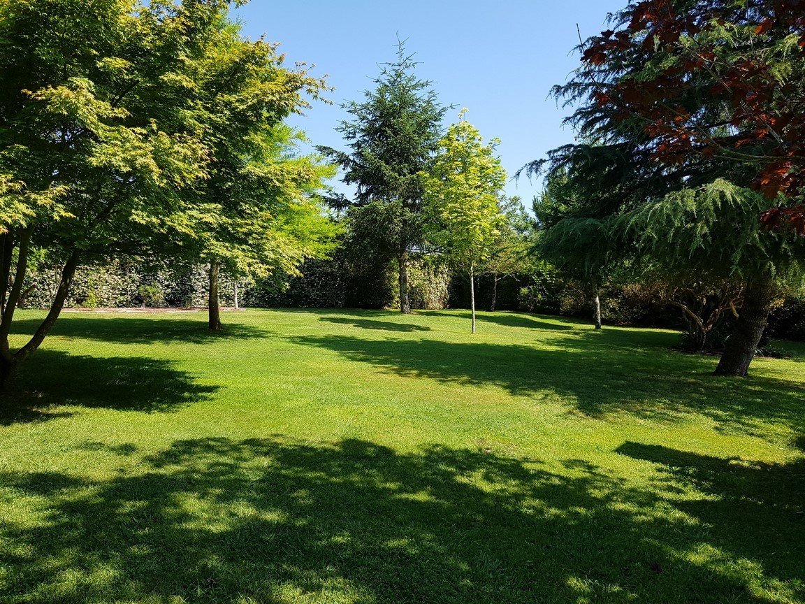 Vilanova de Arousa: Detached villa with outdoor pool surrounded by gardens...