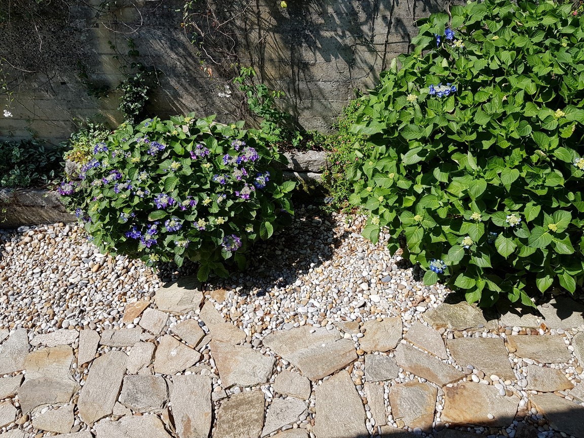 Vilanova de Arousa: Villa indipendente con piscina all'aperto circondata da giardini...