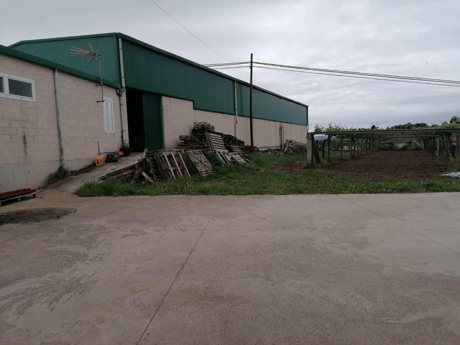 Cambados: A7109: House with farm, warehouse, vineyards... located in Castrelo.